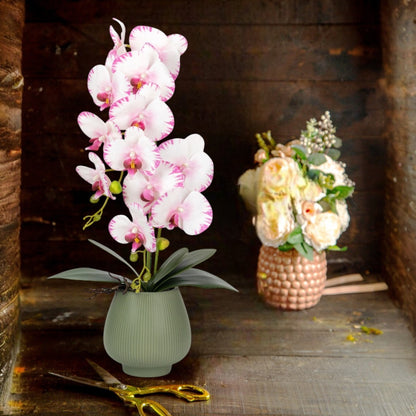 Orhidee cu aspect natural in ghiveci ceramic, 80 cm, Naimeed D6904, Roz/Verde