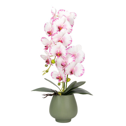 Orhidee cu aspect natural in ghiveci ceramic, 80 cm, Naimeed D6904, Roz/Verde