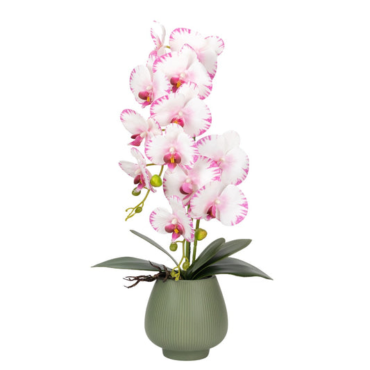 Orhidee cu aspect natural in ghiveci ceramic, 80 cm, Naimeed D6904, Roz/Verde