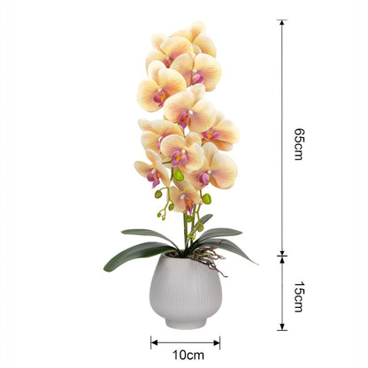 Orhidee cu aspect natural in ghiveci ceramic, 80 cm, Naimeed D6905, Portocaliu pal/Alb