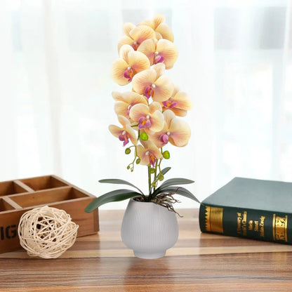 Orhidee cu aspect natural in ghiveci ceramic, 80 cm, Naimeed D6905, Portocaliu pal/Alb