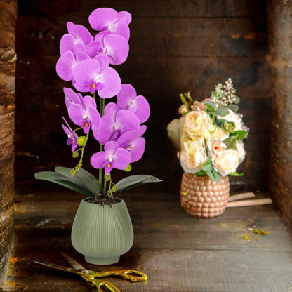 Orhidee cu aspect natural in ghiveci ceramic, 80 cm, Naimeed D6906, Mov/Verde