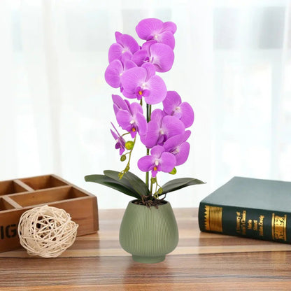Orhidee cu aspect natural in ghiveci ceramic, 80 cm, Naimeed D6906, Mov/Verde