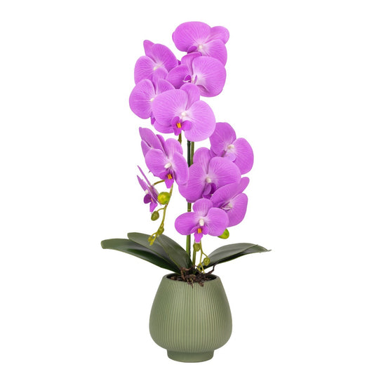 Orhidee cu aspect natural in ghiveci ceramic, 80 cm, Naimeed D6906, Mov/Verde