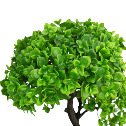 Copac artificial, tip Crassula, cu ghiveci, Naimeed D6914, 50x12 cm, Verde