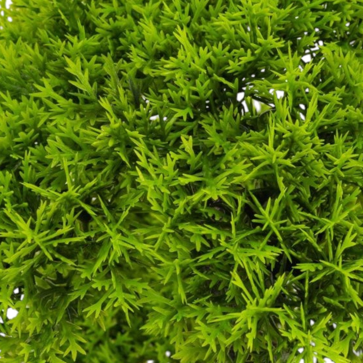 Copac artificial, tip Conifer, cu ghiveci, Naimeed D6916, 50x12 cm, Verde