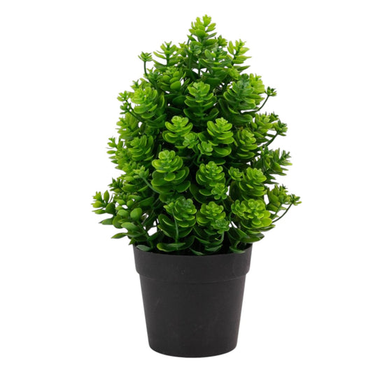 Planta artificiala, tip Kalanchoe, cu ghiveci, Naimeed D6922, 24x8.8 cm, Verde