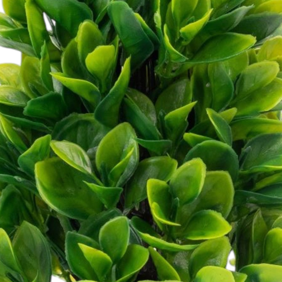 Planta artificiala, tip Buxus, cu ghiveci, Naimeed D6923, 24x8.8 cm, Verde