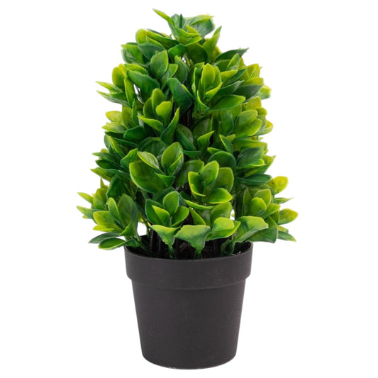 Planta artificiala, tip Buxus, cu ghiveci, Naimeed D6923, 24x8.8 cm, Verde