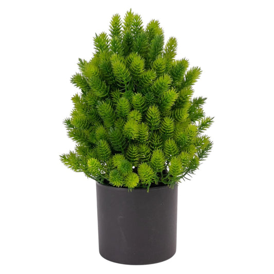 Planta artificiala, tip Cryptomeria, cu ghiveci, Naimeed D6924, 24x8.8 cm, Verde