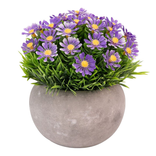 Planta artificiala, tip Asper, cu ghiveci de hartie, Naimeed D6928, 12x10 cm, Mov