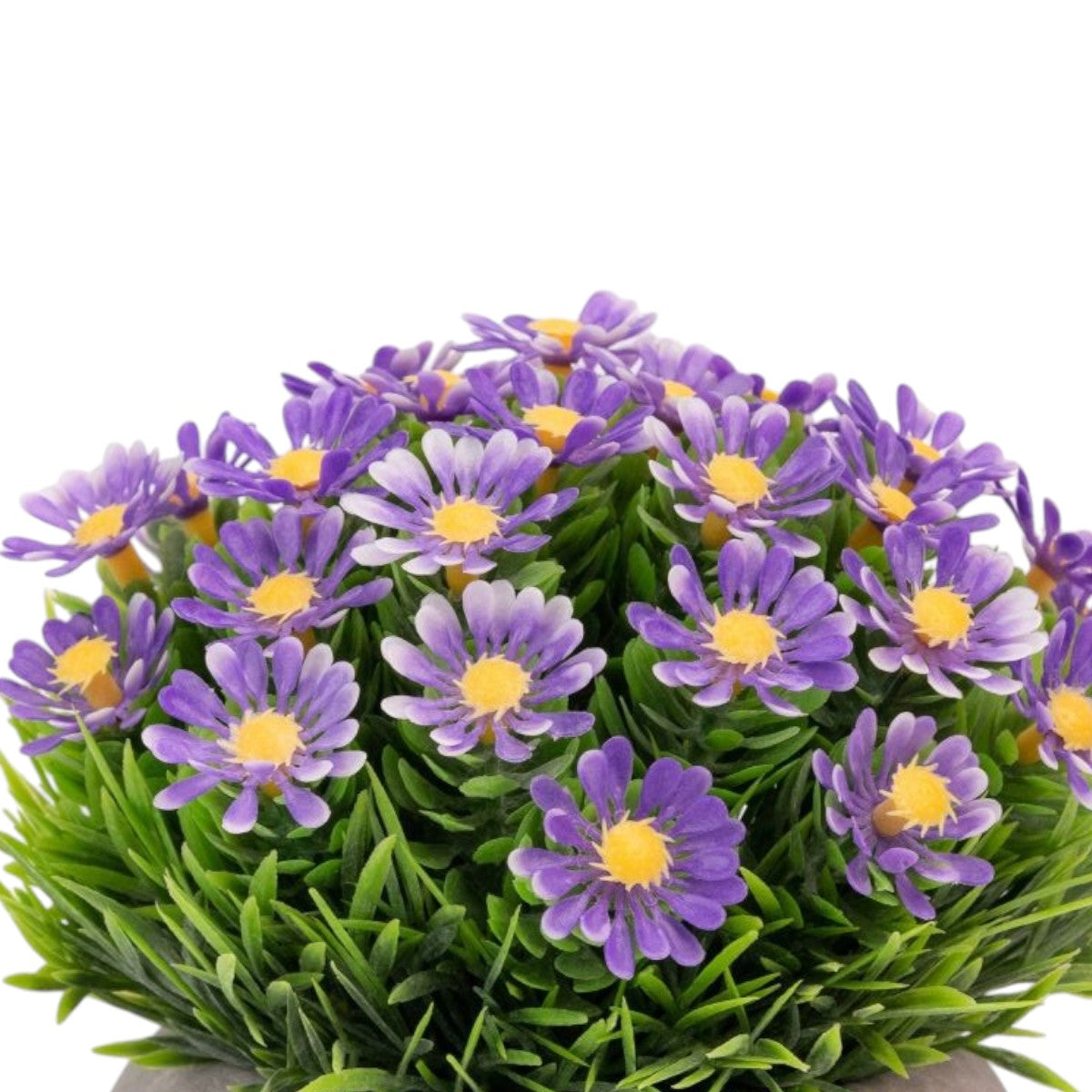 Planta artificiala, tip Asper, cu ghiveci de hartie, Naimeed D6928, 12x10 cm, Mov