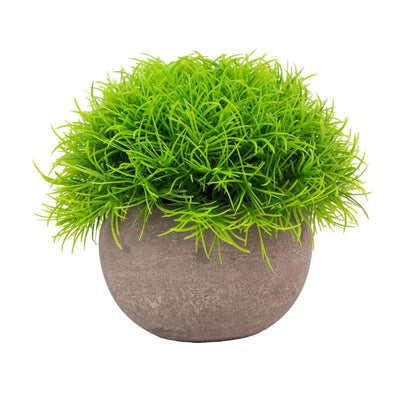 Planta artificiala, tip Festuca, cu ghiveci de hartie, Naimeed D6931, 12x10 cm, Verde