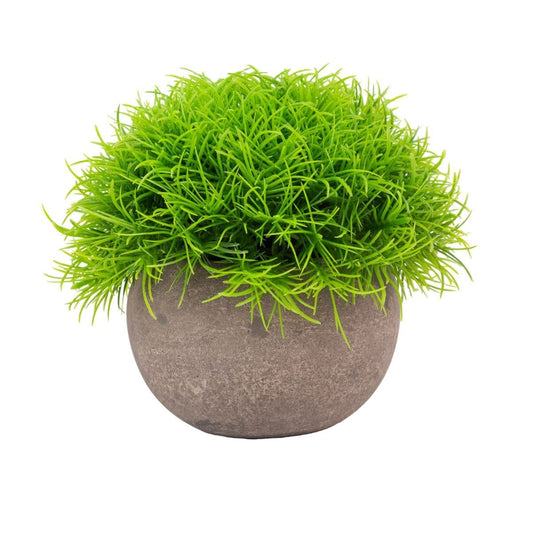 Planta artificiala, tip Festuca, cu ghiveci de hartie, Naimeed D6931, 12x10 cm, Verde