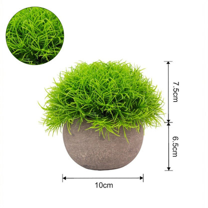 Planta artificiala, tip Festuca, cu ghiveci de hartie, Naimeed D6931, 12x10 cm, Verde