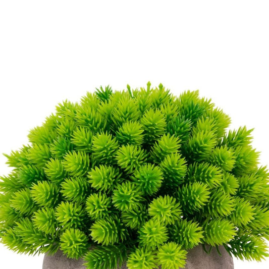 Planta artificiala, tip Cryptomeria, cu ghiveci de hartie, Naimeed D6932, 12x10 cm, Verde
