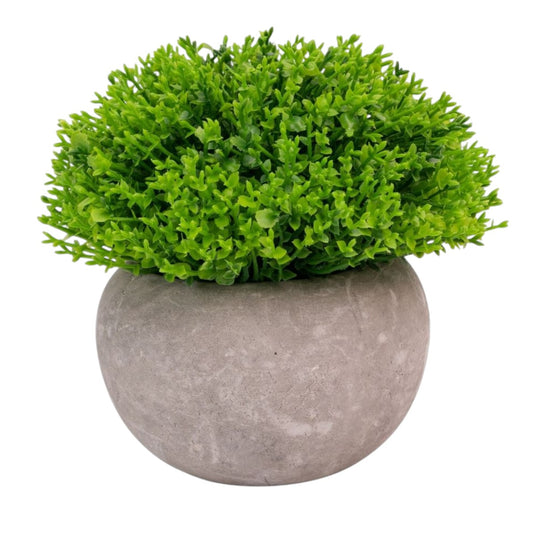Planta artificiala, tip Buxus, cu ghiveci de hartie, Naimeed D6934, 12x10 cm, Verde