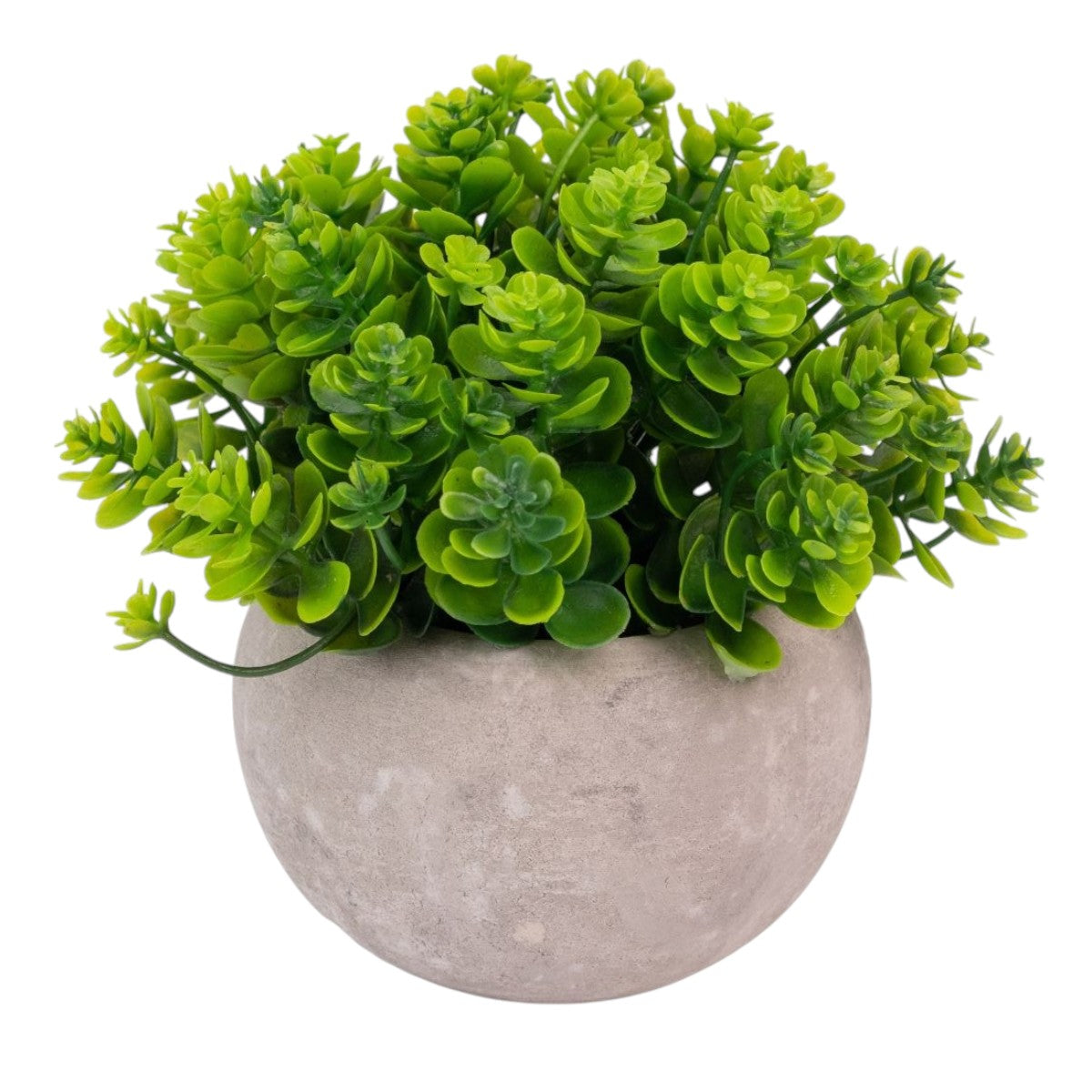 Planta artificiala, tip Kalanchoe, cu ghiveci de hartie, Naimeed D6935, 12x10 cm, Verde