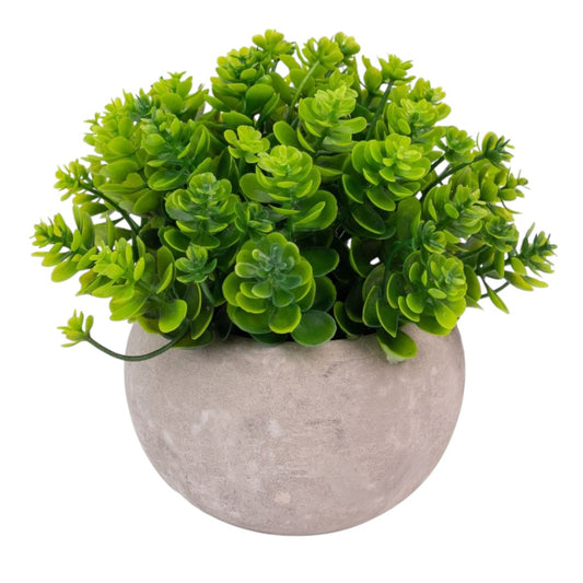Planta artificiala, tip Kalanchoe, cu ghiveci de hartie, Naimeed D6935, 12x10 cm, Verde