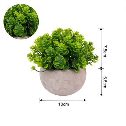 Planta artificiala, tip Kalanchoe, cu ghiveci de hartie, Naimeed D6935, 12x10 cm, Verde