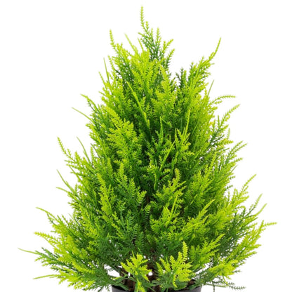 Planta artificiala, tip Thuja, cu ghiveci, Naimeed D6936, 31x10 cm, Verde