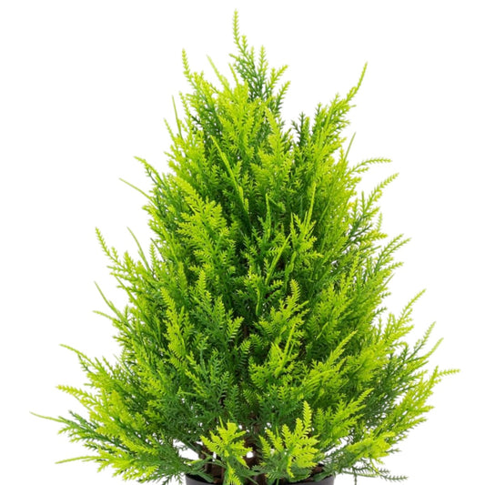 Planta artificiala, tip Thuja, cu ghiveci, Naimeed D6936, 31x10 cm, Verde