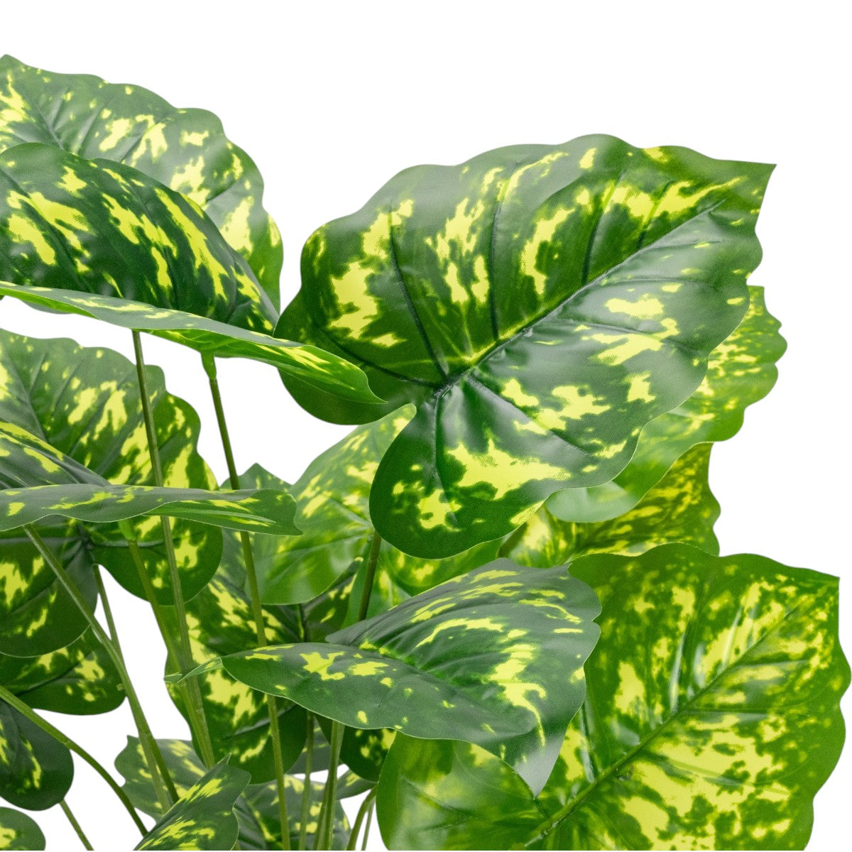 Planta decorativa artificiala, fara ghiveci, tip Dieffenbachia, Naimeed D6942, 95 cm, Verde