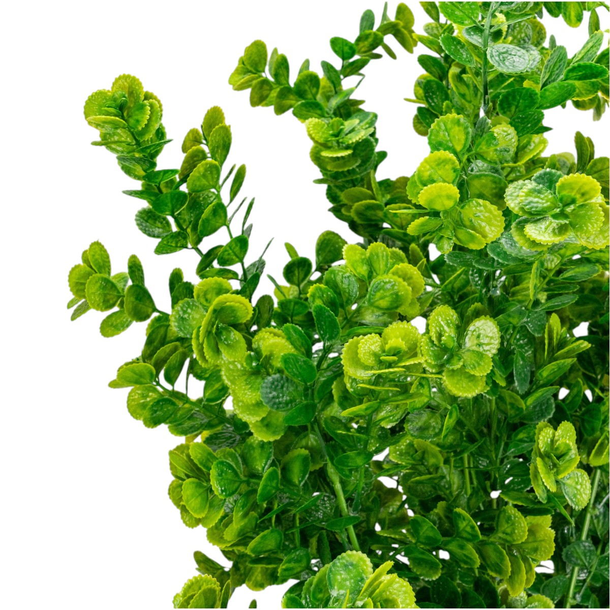 Planta decorativa artificiala, fara ghiveci, tip Eucalipt,  Naimeed D6952, 105 cm, Verde
