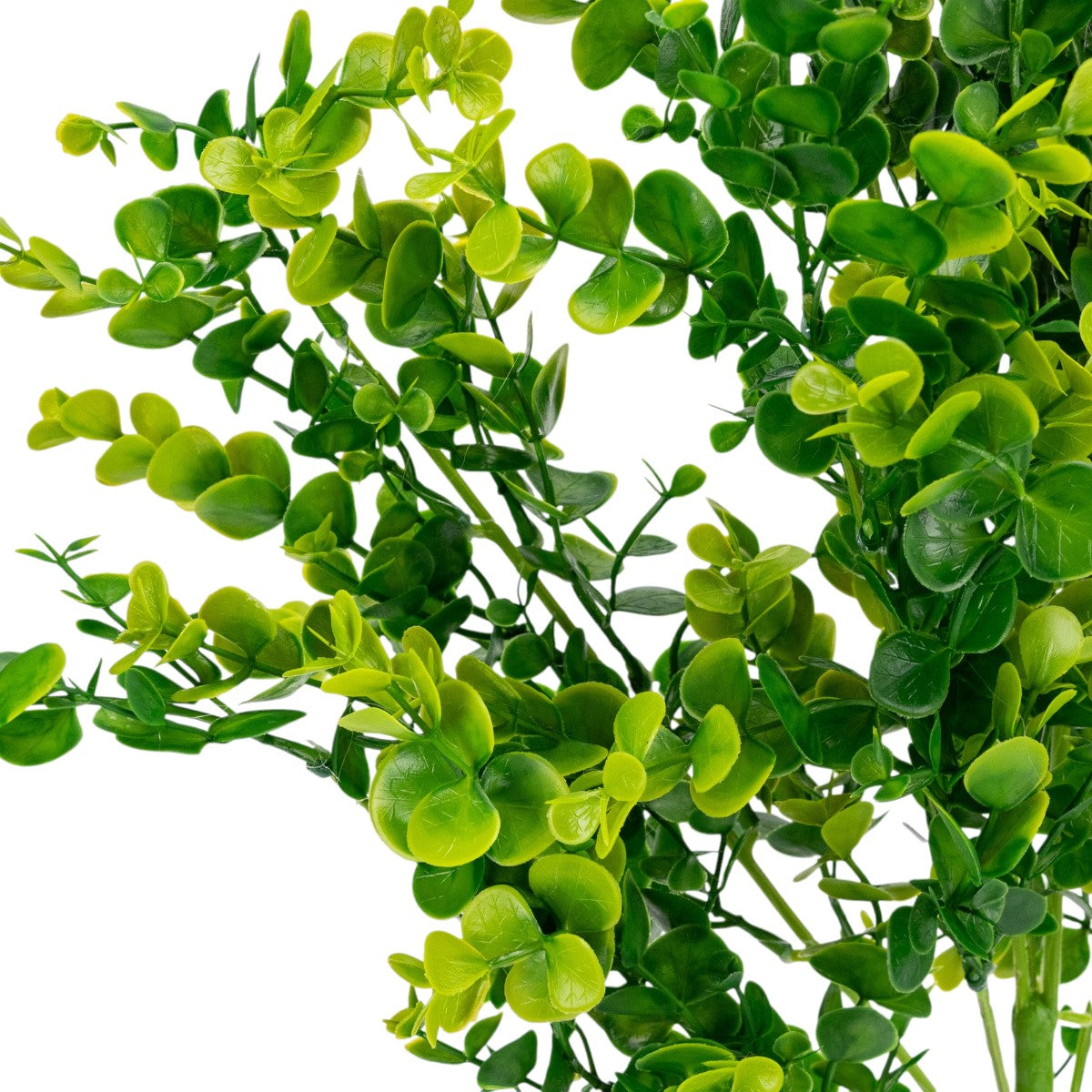 Planta decorativa artificiala, fara ghiveci, tip Eucalipt, Naimeed D6963, 80 cm, Verde