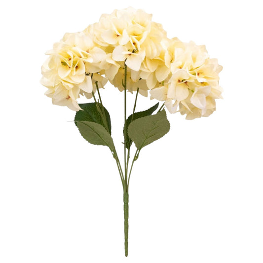 Buchet floare artificiala, Hortensie cu 5 ramuri si 6 capete, 50 cm, Naimeed D7032, Crem