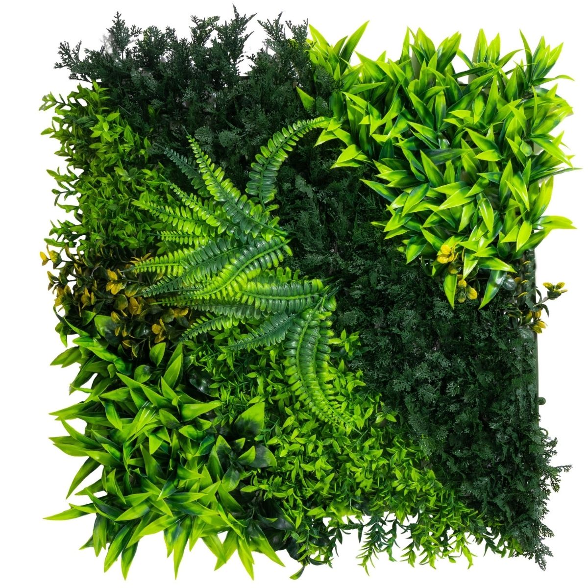 Panou din plante artificiale, cu frunze, Naimeed D7208, Verde, 50X50 cm