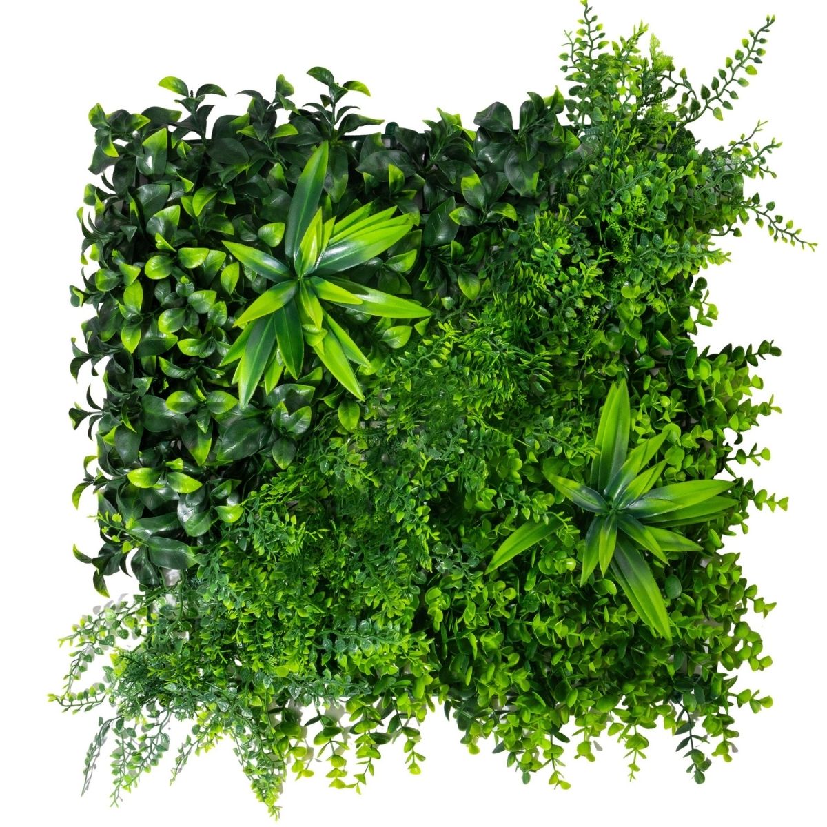 Panou din plante artificiale, cu frunze, Naimeed D7210, Verde, 50X50 cm