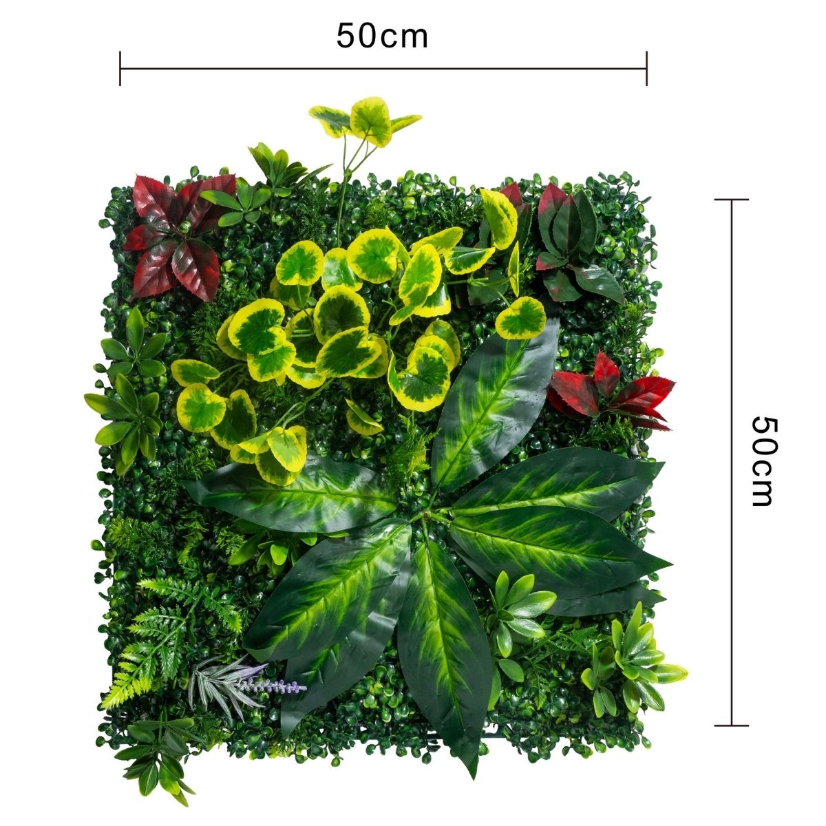 Panou din plante artificiale, cu frunze, Naimeed D7212, Verde, 50X50 cm