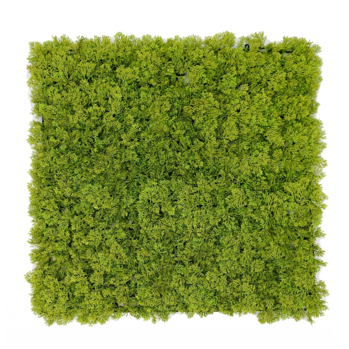 Panou din plante artificiale, Naimeed D7428, Verde, 50x50 cm