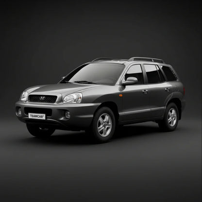 Covorase Hyundai Santa Fe 2000-2006 | Cauciuc Tavita | Silver