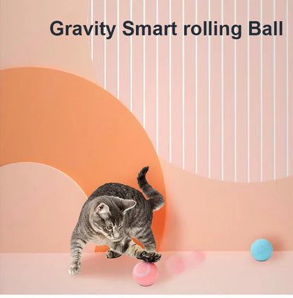 Jucarie Inteligenta Pet Gravity