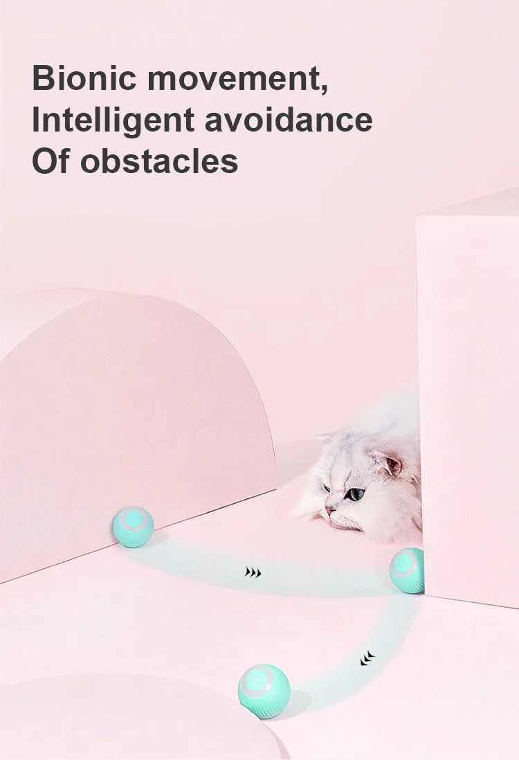 Jucarie Inteligenta Pet Gravity
