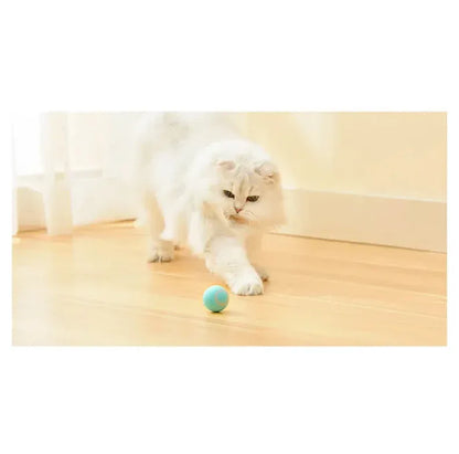 Jucarie Inteligenta Pet Gravity