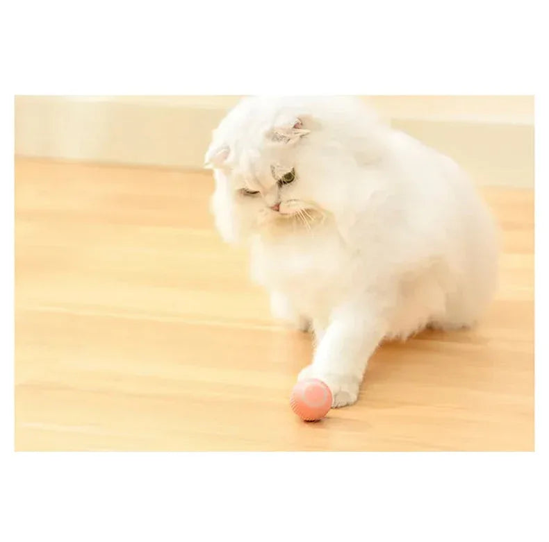 Jucarie Inteligenta Pet Gravity