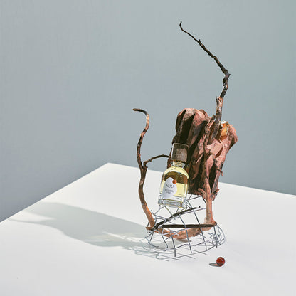 Apa de parfum, NOU Eternal Fire, 50ml Unisex