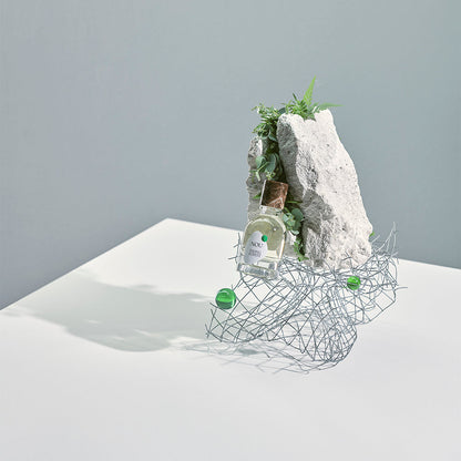 Apa de parfum, NOU Fading Forest, 50ml Unisex