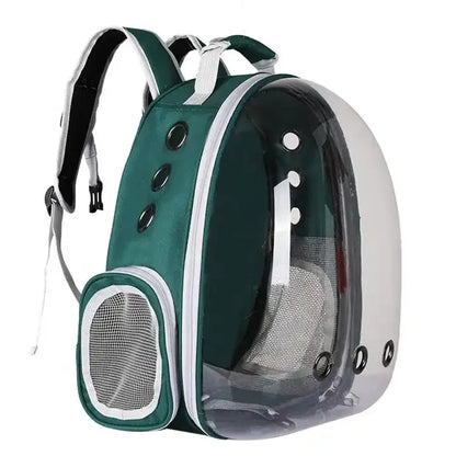 Rucsac transparent pentru transport pisica