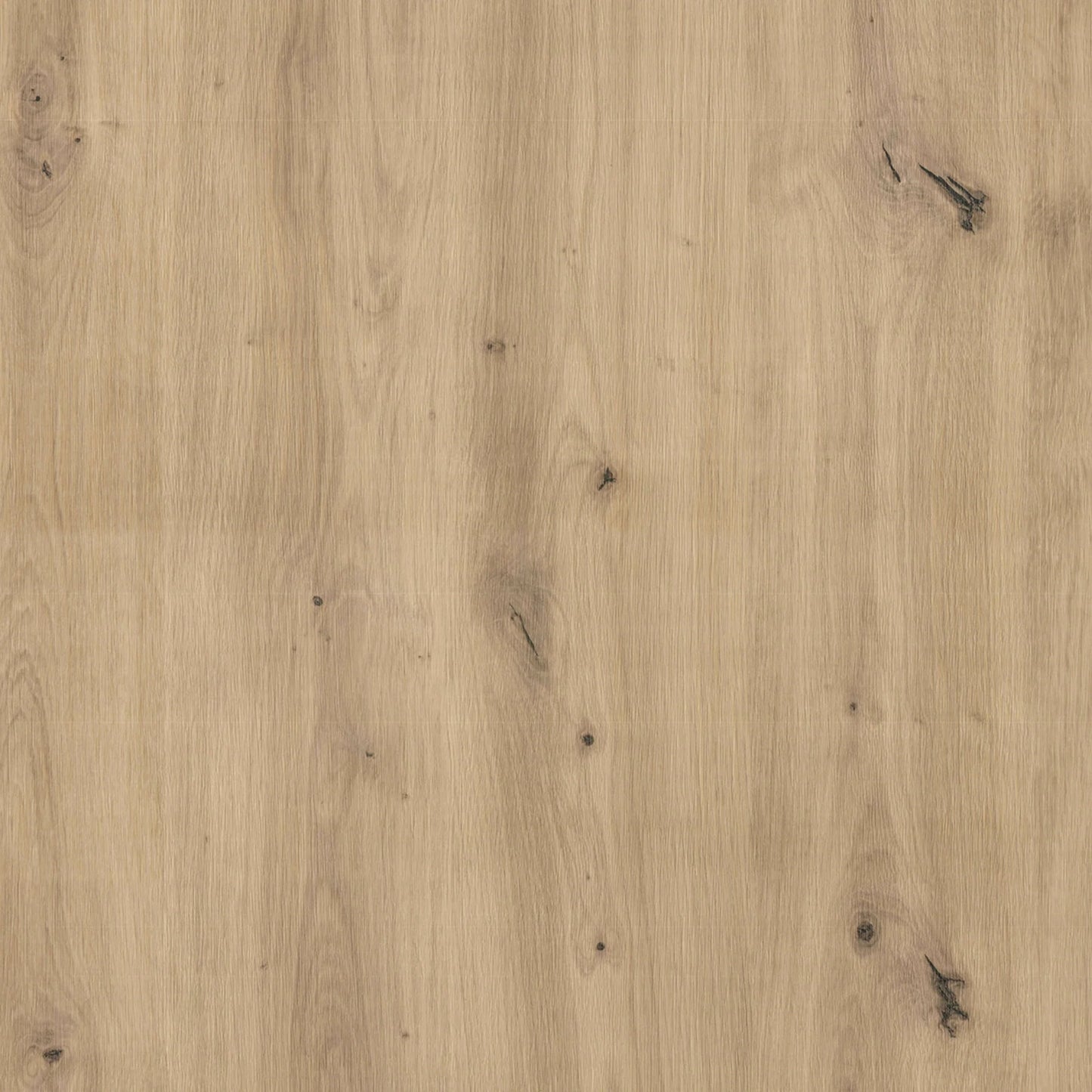 Set Bucatarie haaus Ara, Stejar Artisan/Alb, L 120 cm