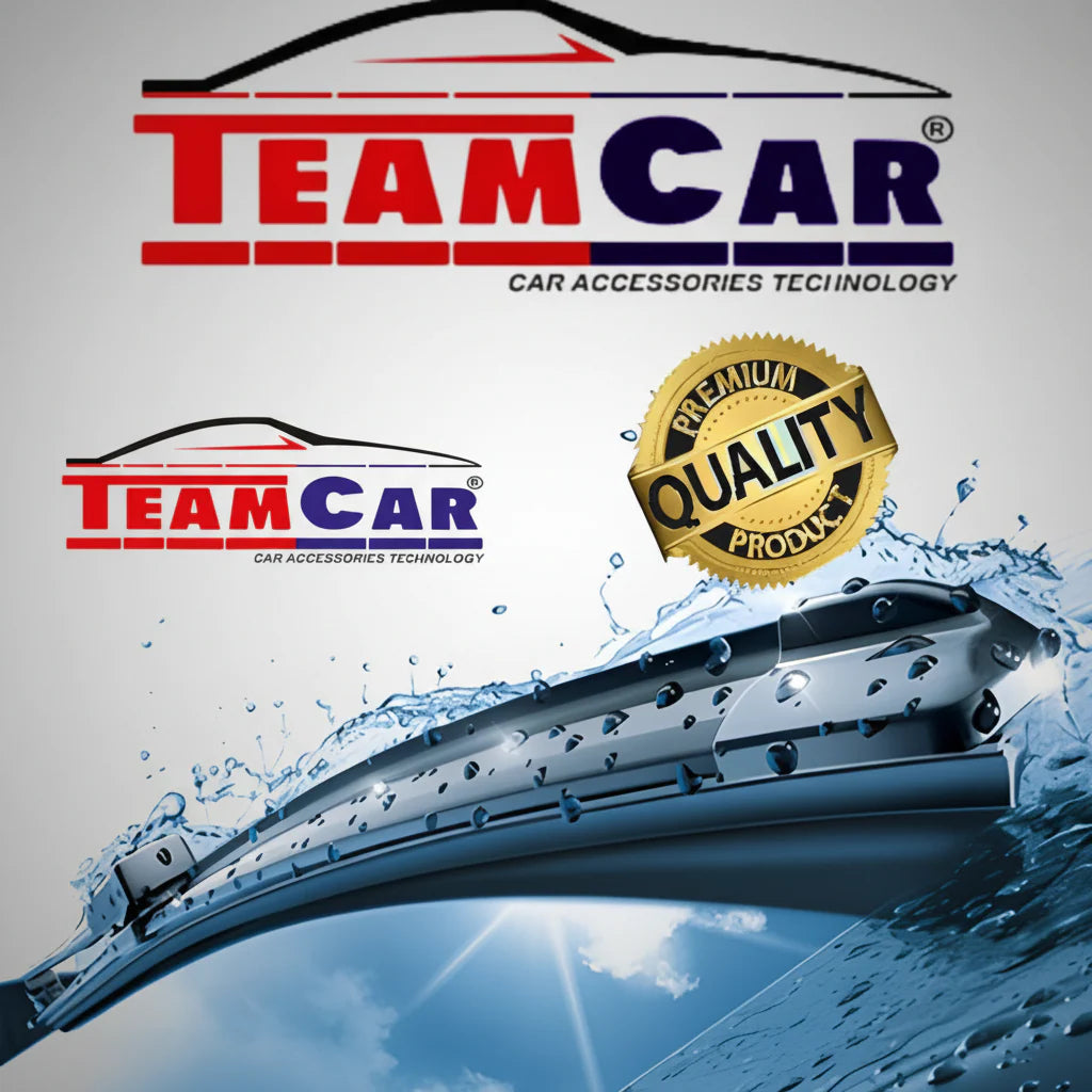Ștergătoare Renault Zoe (2012–2019) TeamCar® – Set față
