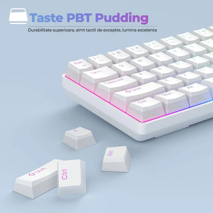 Tastatura Mecanica Gaming Timebox, Wireless, Layout 60%, Lumini LED, 68 taste PBT Pudding Keycaps, Bluetooth, 2,4G, cablu Type-C, Red Swtich, Portabila, Compaatibila Windows, Mac, Alb - 221.ro