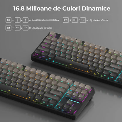 Tastatura Mecanica Gaming Timebox, 80%, Hot-Swap, Wireless, Gasket, Silentioasa