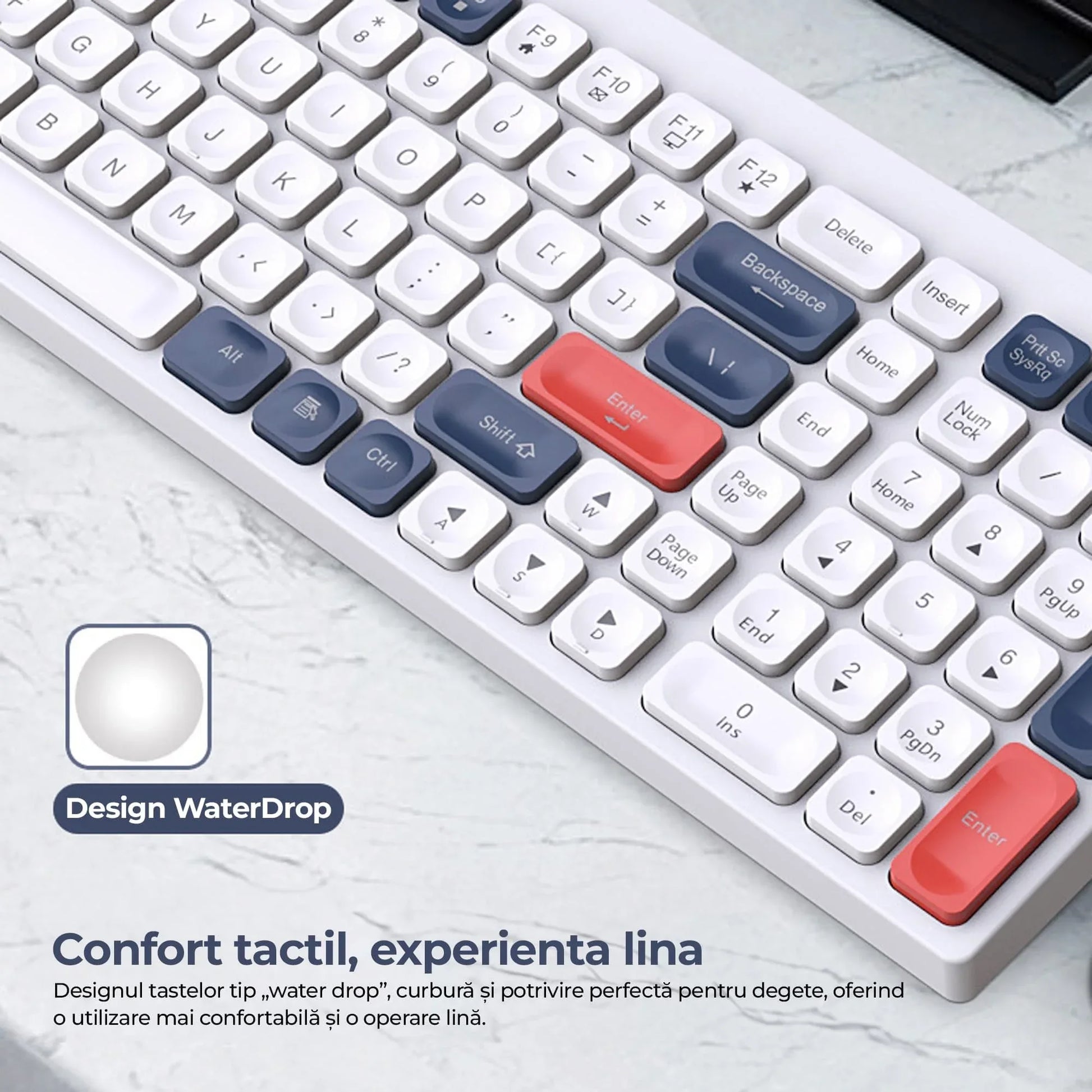 Tastatura Slim Low-Profile Timebox, Wireless, 2,4Ghz, Bluetooth, 84 taste subtiri, cablu Type-C, USB Reciver, Compatibil Windows, Telefon, Tableta, Alb Albastru - 221.ro