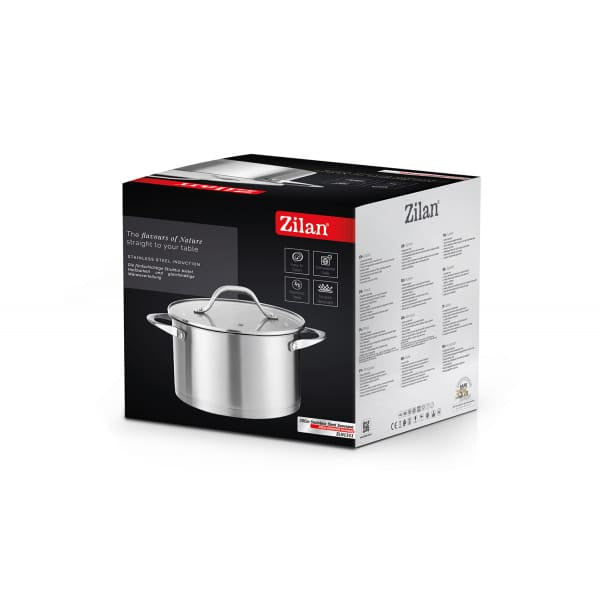Oala din inox cu capac de sticla, capacitate 3L, diametru 20cm ZILAN / ZLN 1351