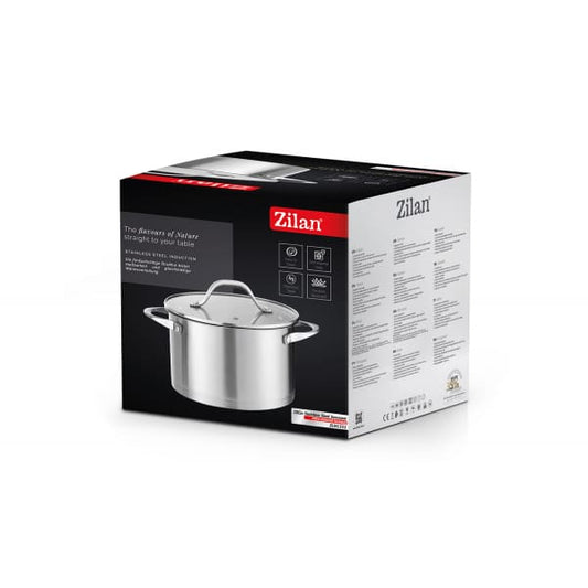 Oala din inox cu capac de sticla, capacitate 3L, diametru 20cm ZILAN / ZLN 1351