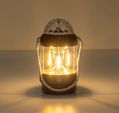 Felinar, 2 moduri de intensitate a luminii, putere 20W, negru / ZTS 8217